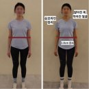 비벨라핏 이미지