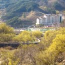 수유농원 이미지