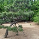 수림농원 이미지