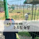 영신농장-1 | 포항 아이랑 가볼만한곳 두드림농장 동물 먹이주기 체험 가능한 곳