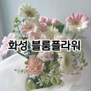 안용중학교 | 젊은 사장님의 감각으로 예쁜 꽃다발을 선물할 수 있는 안녕동 블룸플라워 내돈내산 꽃다발 포장 후기