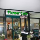 진금석 회원 Haim Flower Cafe (하임 플라워 카페) 개업 이미지