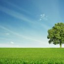 탄넨바움 이미지