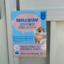 임랑해수욕장 맛집, 두툼한 패티와 번의 조화가 맛있는 버거베이 재방문후기