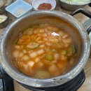 은행나무 갈매기 이미지