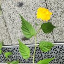 (주)삼일플러스 이미지