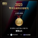 한프로실내테니스