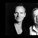 How Insensitive - Sting & Jobim 이미지