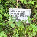 탄탄탄 중앙아시아 | 숙제하기