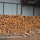 재래한증막 | 쌀쌀한 날씨에 가기 좋은 양양 재래식 찜질방 원시불한증막