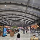 sm카서비스 | 세부가족여행 패키지 일정 코스 단독시내투어 오슬롭고래상어투어 추천 후기