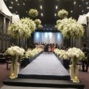 그레이스하우스 이미지