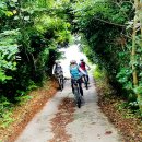 용강목장 이미지