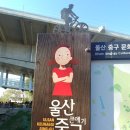 울산큰아기