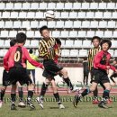 김해외동초등학교 이미지