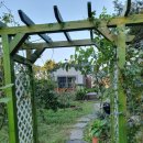 미니 쇠소깍 이미지