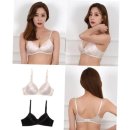 (주)신영와코루 이미지