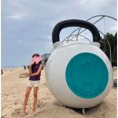 머슬핫바디 | 🏖 도이의 강릉 머슬비치 후기 – “짬순 소화 시키러 갔다가 근손실 방지하고 온 썰”