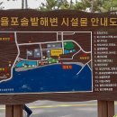 율포솔밭해수욕장 관광안내소 네이버블로그