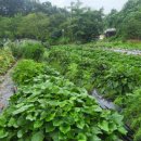 죽장경로당 이미지