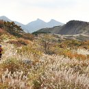 전국산 부산국제 이미지