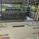 고일농장 이미지