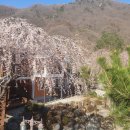 지리산펜션 이미지