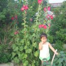 홍길동전시관 이미지