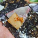 완도회수산 네이버블로그