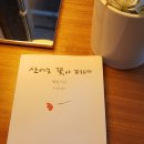 산에는꽃이피네 이미지