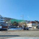 롤링핀(수성못점) 이미지