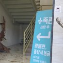 용인테리어수족관 | [아이와 가볼 만한 곳] 신비로운 광물과 동굴 탐험! '예술정원1999' 광물관&amp;종유석 동굴 방문기