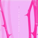 더예쁜가시나
