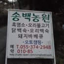 송백농원캠핑장 이미지