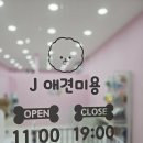 J 애견 미용 이미지