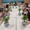 [초등+학부모] 그림책과 함께하는 봄 꽃바구니 | 걱정을 날리는 작은 정원 테이블야자 식물 테라리움 만들기 아산 세종 원예수업 마음책 도서관
