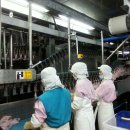 가마치 옛날통닭 이미지