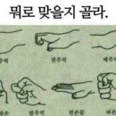 자매수산 이미지