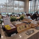 베스트웨스턴군산호텔 | 군산 숙소 베스트웨스턴호텔 디럭스룸 체크인, 조식 후기