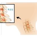 날개마취통증의학과의원 이미지