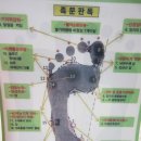 상계역 알즈너 노원구 알즈너 중계동 알즈너 발바닥의 아치를 지켜라~