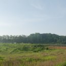 정왕태양광발전소 이미지