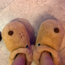 6638 | 대전다이어트 "쏙클럽" 다이어트 풀코스로 1.1kg 감량 후기