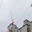 수영삼춘 이미지