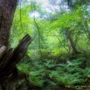 미소가득주유소 이미지