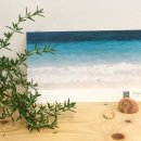 STUDIOMOBE반치옥사진관 이미지