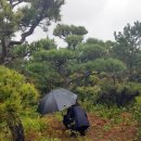 종교단체 자연장지 이미지