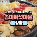 강원도 양양 맛집 &#34;송이버섯마을&#34; 양양에서 꼭 먹어야 하는 음식 특산물 자연송이버섯전골