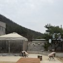 디토키즈풀빌라 | [양평 디토 키즈풀빌라] 양평 펜션 디토 키즈 풀빌라 내돈내산 후기