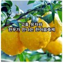 고흥한우명품화사업단 이미지